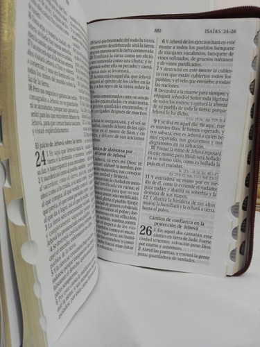 Imagen 5 de 6 de Santa Biblia Reina Valera 1960 Letra Gigante