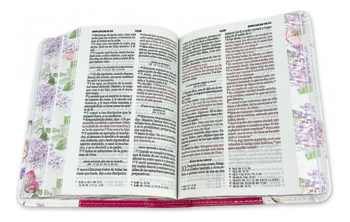 Biblia Rvr1960 Renovación Rosa Im Piel Bolsillo 8.5pt