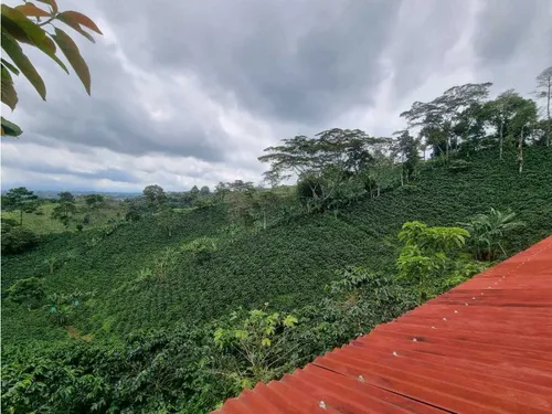 En Venta Finca Cafetera Certificada En Filandia Quindio