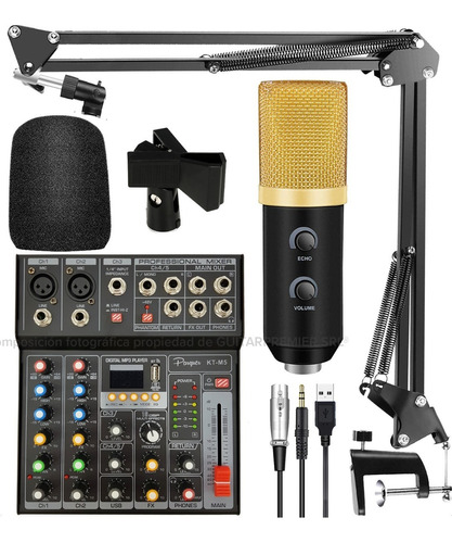 Imagen 1 de 10 de Kit Grabacion Radio Microfono Condenser Echo Interfase Mixer