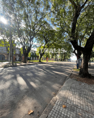 Apartamento En Alquiler De 1 Dormitorio En Cerrito S/ Gastos Comunes
