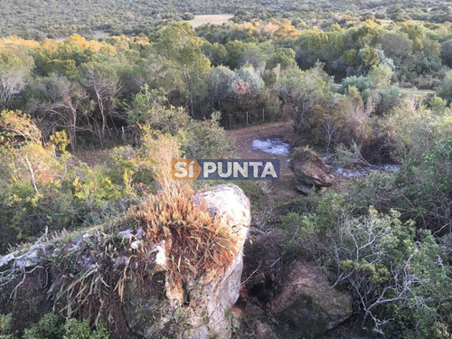Imagen 13 de 13 de Chacras En Ruta 39 Próximas A Aigua.