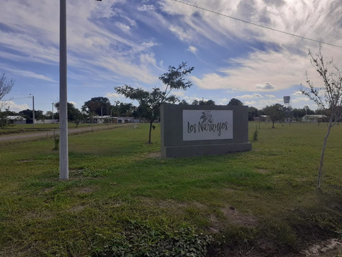 Imagen 9 de 13 de Terreno En Venta En Reconquista En Los Naranjos