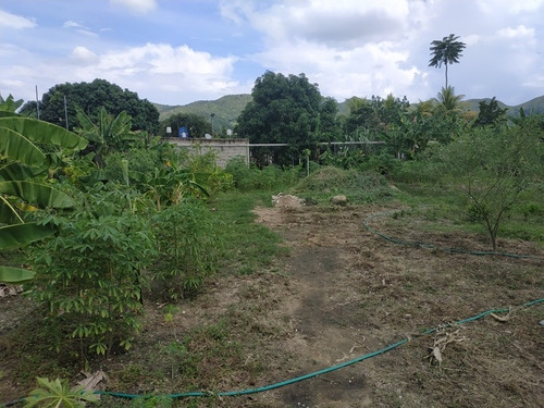 Imagen 2 de 3 de Terreno Frutal De 934m2 En Villas Del Toco