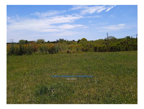 Imagen 21 de 22 de Js: Venta Excelente Chacra Abayuba Cw189854