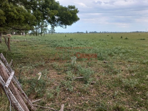 Imagen 12 de 30 de Venta De Campo De 21 Has Entre Jeppener Y Ranchos