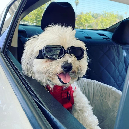 / Lentes De Protección Ocular Para Perros Pequeños