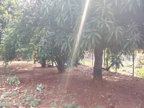 Imagem 2 de 11 de Terreno À Venda, Residencial Vale Das Nogueiras - Americana/sp - 314
