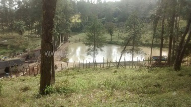 Imagem 13 de 17 de Rural - Ref: 01595