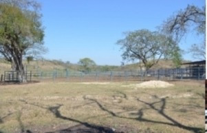 Imagen 8 de 14 de Venta Finca Tinaquillo Plano Pozo Tanque Cod. 422543 Cesar Laurentin