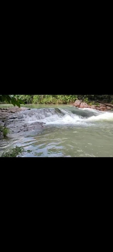 Imagem 14 de 20 de Fazenda Na Região De Rosário Oeste -mt