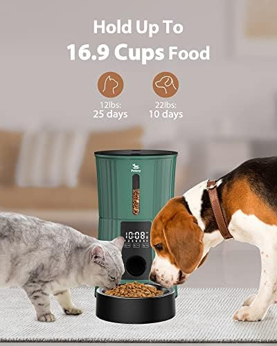 Petory Comederos Automáticos Temporizados Para Gatos - Dispe