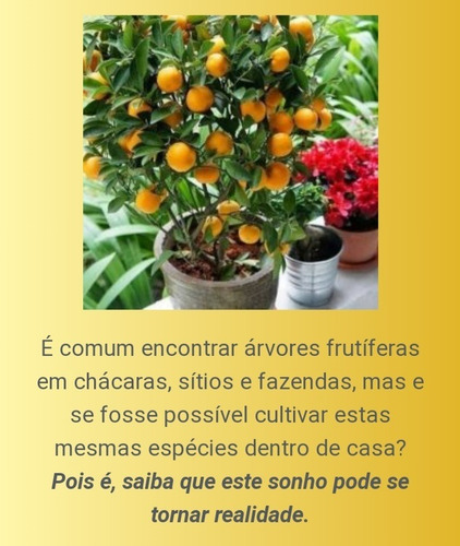 Imagem 1 de 4 de Video Aulas De Cultivo De Arvores Frutíferas Em Vasos