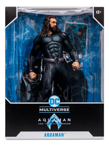 Dc Multiverse Aquaman The Lost Kingdom 30cm Mcfarlane Lelab