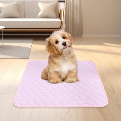 Almohadilla Lavable Para Orina De Perro, Almohadilla Xl