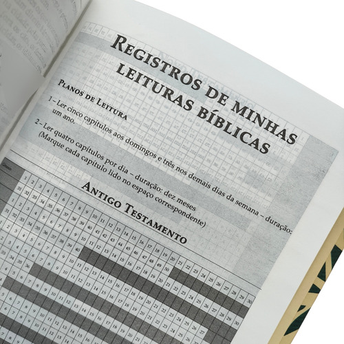 Biblia De Estudo Esperança Almeida Seculo 21 Capa Dura Capa Arvore Comentada Por Luiz Sayão