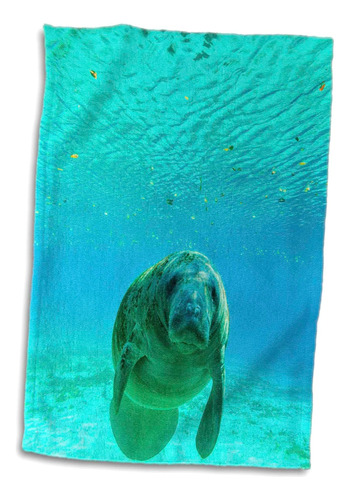 3d Rose Manatee Swimming-crystal River-florida Toalla De Man