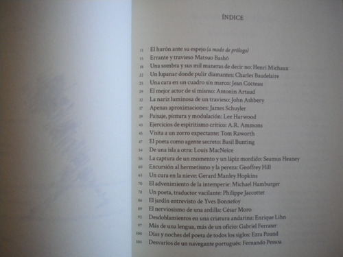 Serra Bradford Matías / Animales Tímidos. 23 Poetas Perdidos