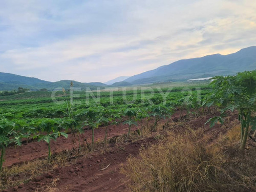 Venta Rancho Los Asmoles Colima