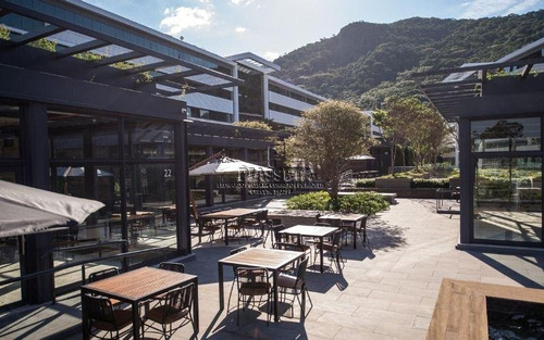 Imagem 14 de 30 de Sala Comercial Para Locação, Saco Grande, Florianópolis - . - Sa0018