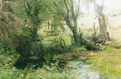 Imagen 5 de 19 de Campo Ganadero Traslasierra Semiarmado Con Agua Permanente Para Mantener 120 Vacas Crias - Mina Clavero - Cordoba