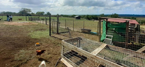 Chacra De 1ha Con Casa De 2 Dormitorios - Rincón Del Colorado