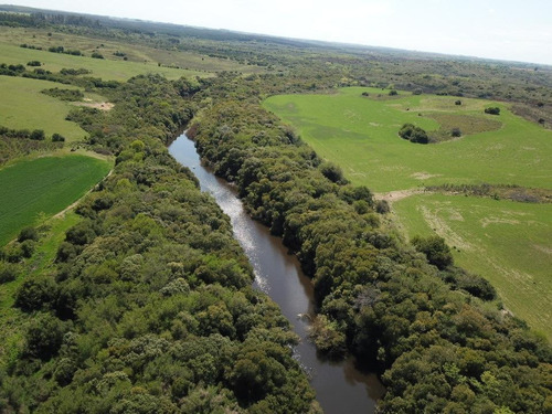 Campo - Tarariras
