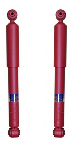2 Amortiguadores Traseros Fric Rot Citroen C3 03/12