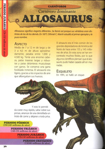 El Fascinante Mundo De Los Dinosaurios | Meses sin intereses