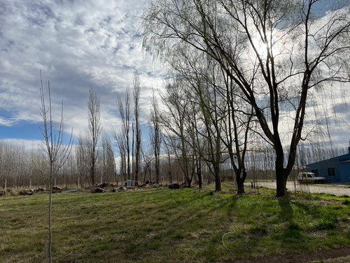 Lote En Venta Barrio Las Patricias, General Roca, Río Negro