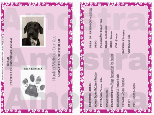 Imagem 4 de 5 de Certidão De Nascimento Pet E Rg Pet