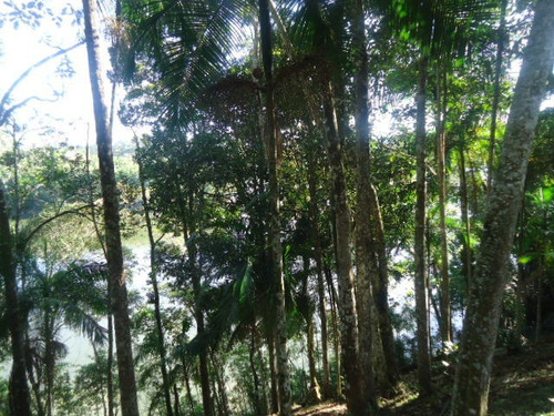 Imagem 9 de 14 de Bela Chácara Linda Vista Represa Ref 1198