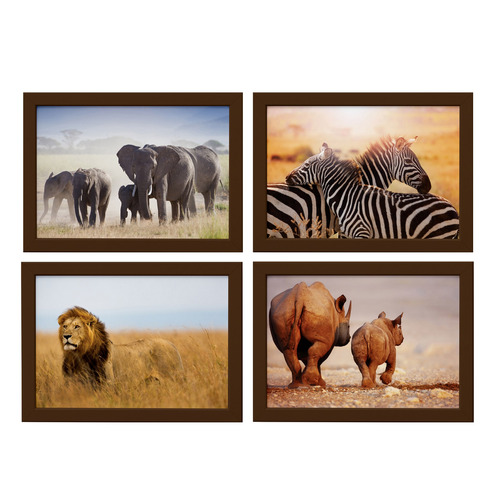 Quadros Animais Safari Para Sala Moldura Marrom 33x43cm 4un