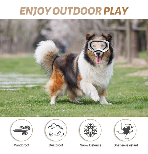 Lentes De Sol Para Perros Nvted Para Razas