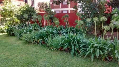 Imagen 14 de 16 de Departamento 3 Ambientes A Metros Del Mar