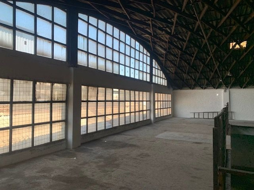 Bodega Comercial Aut. Central-p.o'higgins-metro Rondizzoni.