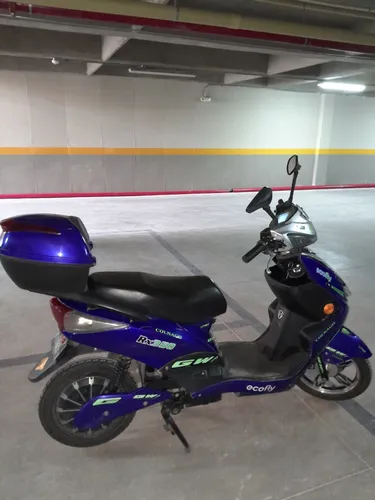 Ecofly Rx 2022