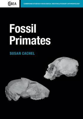Fossil Primates - Susan Cachel