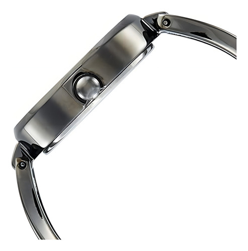 Titan Raga Viva - Reloj Elegante Para Mujeres - Banda Y Esfera Color Antracita, Resistente Al Agua