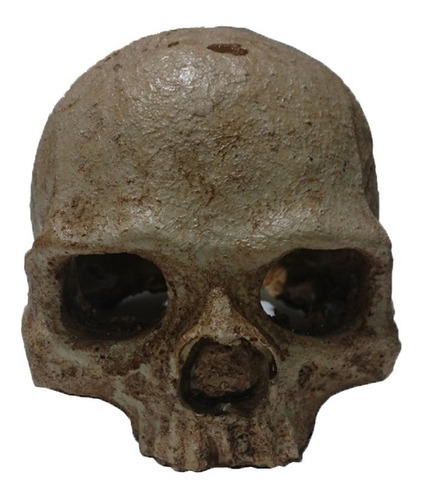 Adorno Pecera Cráneo De Simio En Resina Acuario Terrario