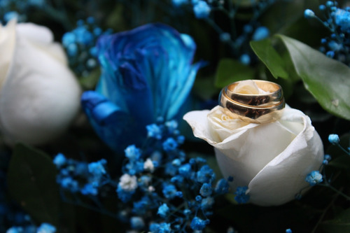Imagen 4 de 10 de Fotografía Y Video Profesional