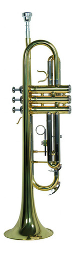Trompeta Bb/c Laqueado Dorado Con Estuche Wesner Ptr1000c-g
