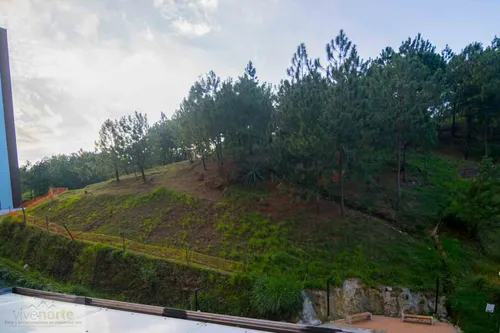 Apartamento En Venta En Amazonia Bosque Alto. Cod V12584