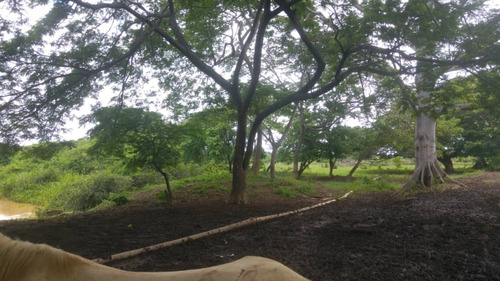 Imagen 21 de 27 de Se Vende Finca Hacienda En Estado Zulia, Ml
