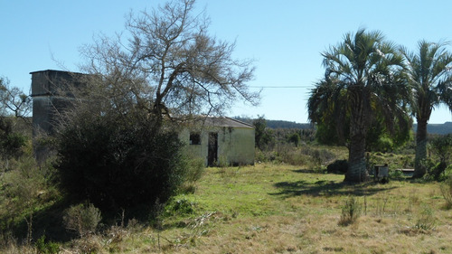 Imagen 13 de 20 de Chacra Ganadera-agrícola-turística De 11 Has. En Campanero.