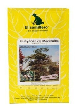 Semillas Guayacan De Manizales (lafoensia Speciosa)