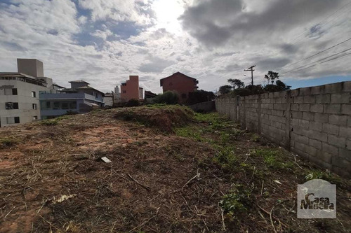 Imagem 2 de 5 de Lote À Venda No Fernão Dias - Código 267705 - 267705