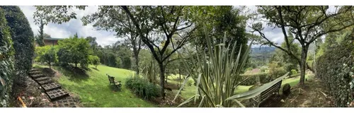 Rhbr-11576 Finca (guarne)