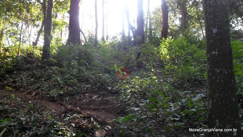 Imagem 2 de 6 de Terreno Comercial À Venda, Nova Higienópolis, Jandira - Te0174. - Te0174