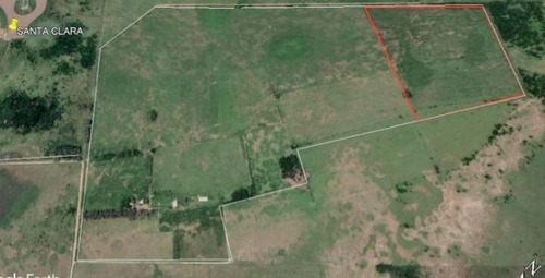 Imagen 6 de 10 de Campo A La Venta En San Vicente ,canning.